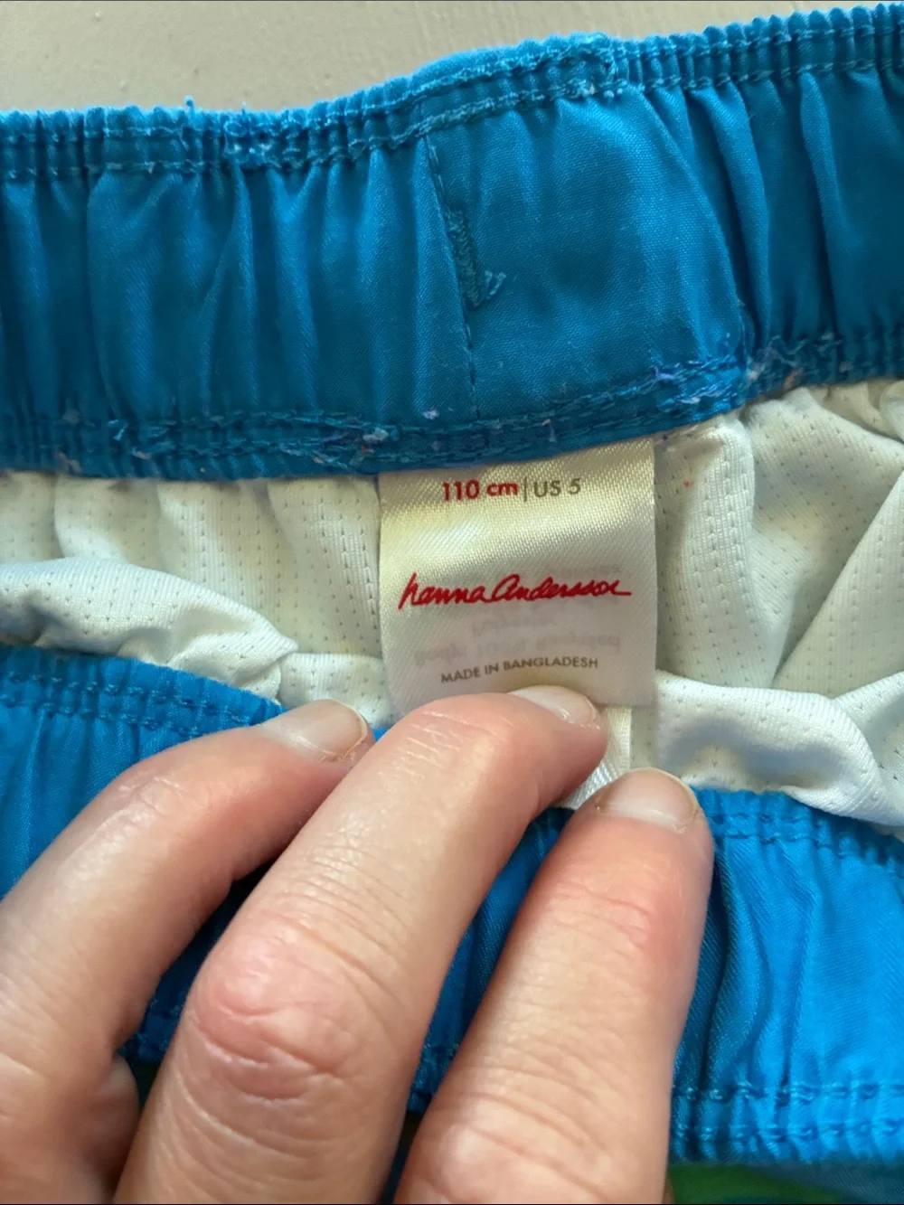 Hanna Andersson Blue & Green Striped Swim Shorts